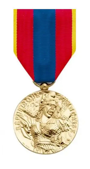 Médaille de la Défense nationale échelon or pour citation sans croix