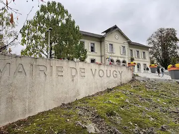 24925,Vougy — Célébratation du 11 novembre 2024,